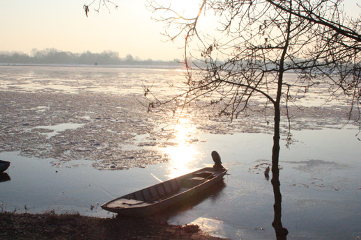 La Loire en hiver à Ingrandes