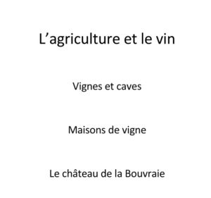 L'agriculture, le vin