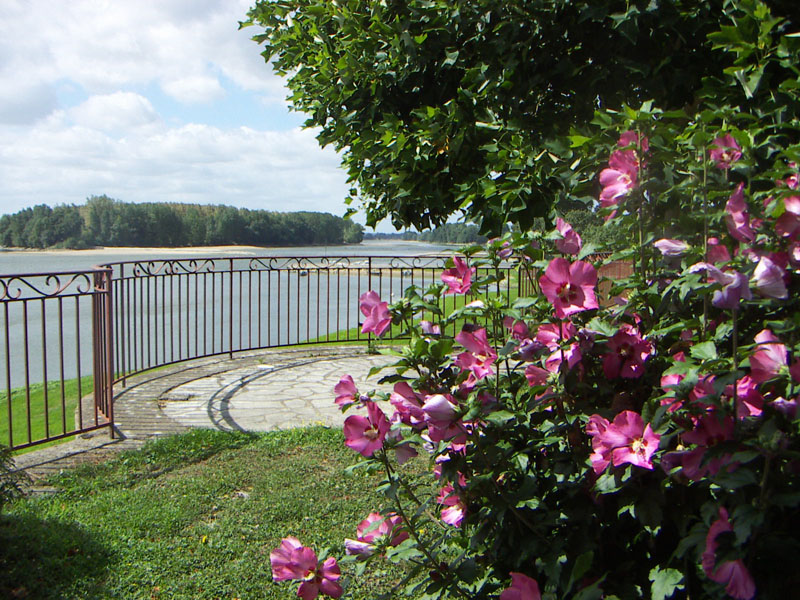 Le Petit Roblan, vue sur la Loire depuis le séjour