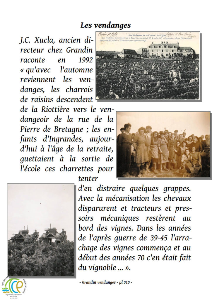 Les vendanges